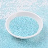 MIYUKI Round Rocailles Beads SEED-JP0008-RR0220-2