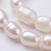 Grade AA Natural Cultured Freshwater Pearl Beads Strands PEAR-P002-41-3