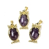 Natural Amethyst Pendant KK-F887-02G-03-1