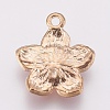 Zinc Alloy Enamel Pendants PALLOY-I124-10G-C-2