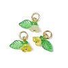 36Pcs Frosted Acrylic Flower & Leaf Charms PALLOY-JF03552-3
