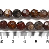 Natural Petrified Wood Beads Strands G-C150-B01-01-5