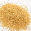 6/0 Round Glass Seed Beads SEED-J018-F6-62-2