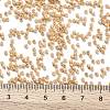 TOHO Round Seed Beads X-SEED-TR11-0123D-3