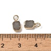 Natural Labradorite Rectangle Charms G-Q169-07G-11-3