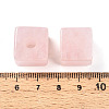 Natural Rose Quartz European Beads G-N345-07A-10-3