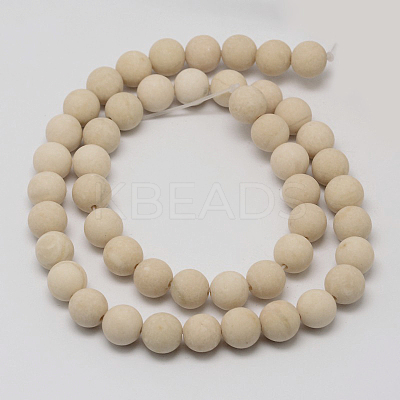 Natural Fossil Beads Strands G-D694-14mm-1