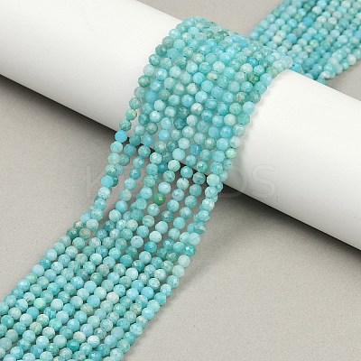 Natural Amazonite Beads Strands LS-G-P572-B04-A-1