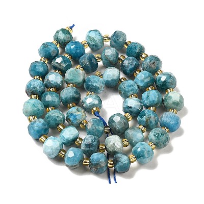 Natural Apatite Beads Strands G-P508-A15-01-1