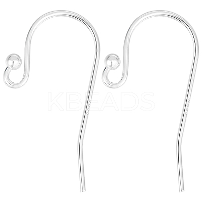 5 Pairs 925 Sterling Silver Earring Hooks STER-BBC0006-25S-1