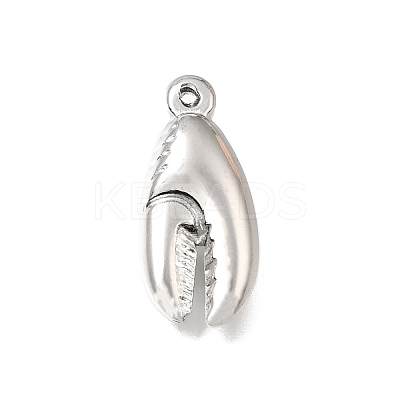 304 Stainless Steel Pendants SA-CBAB767-05P-1