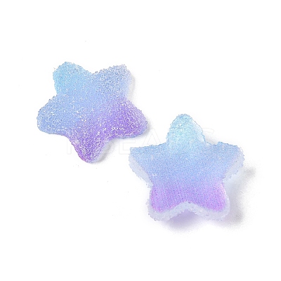 Imitation Candy Food Style Resin Cabochons RESI-R461-02N-1