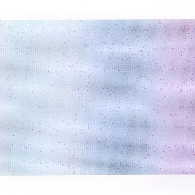 Rainbow Glitter Netting Fabric Sparkling Tulle Roll OCOR-WH0032-48A-1