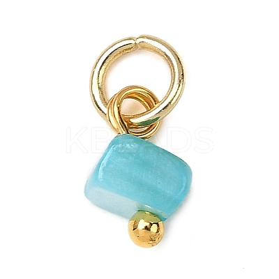 Dyed Natural Freshwater Shell Nuggets Charms PALLOY-JF04375-01-1