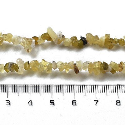 Natural Supper 7 Rutilated Quartz Chip Beaded Necklaces for Men Women NJEW-G159-01B-1
