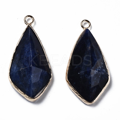 Natural Sodalite Charms G-Q998-029F-1