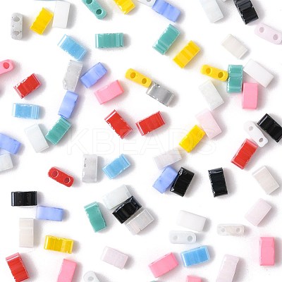 100Pcs 12 Styles 2-Hole Glass Seed Beads SEED-FS0001-43-1