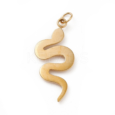 Ion Plating(IP) 304 Stainless Steel Pendants STAS-G295-14G-1