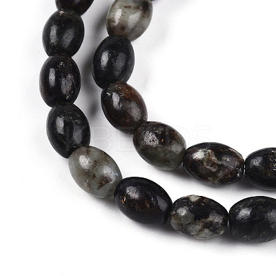 Natural Biotite Beads Strands G-N346-02B-02-1