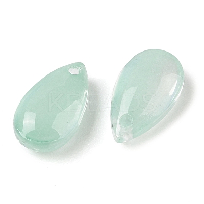 Transparent Glass Charms GLAA-U002-01A-1