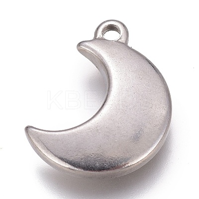 Tarnish Resistant 304 Stainless Steel Charms STAS-H119-04P-1