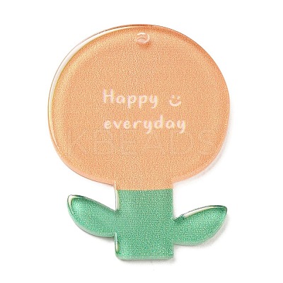 Acrylic Pendants OACR-I008-01C-05-1