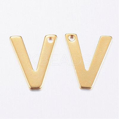 304 Stainless Steel Charms STAS-P141-V-1