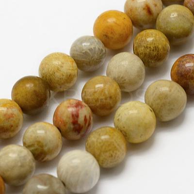 Natural Fossil Coral Beads Strands G-K194-4mm-05-1