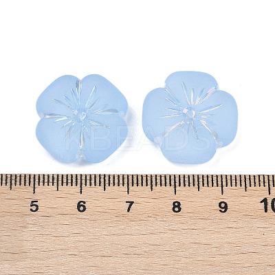 Frosted Transparent Acrylic Beads X1-OACR-P029-19B-01-1