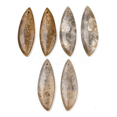 Natural Fossil Coral Pendants G-B187-01C-06-1