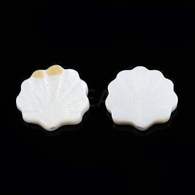 Natural Freshwater Shell Beads LS-X-SHEL-T007-02-1