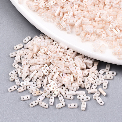 FGB 2-Hole Glass Seed Beads SEED-S031-S-SQ1204R-1