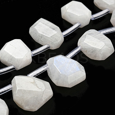 Natural Rainbow Moonstone Beads Strands G-Z040-A06-01-1