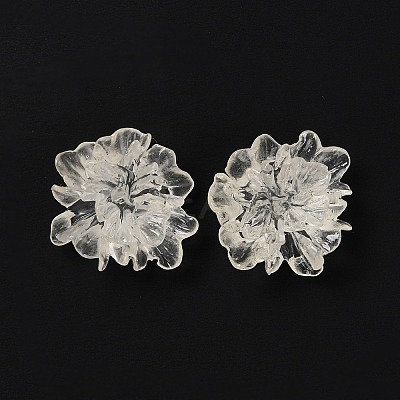 Transparent Resin Cabochons X-RESI-G027-01A-1