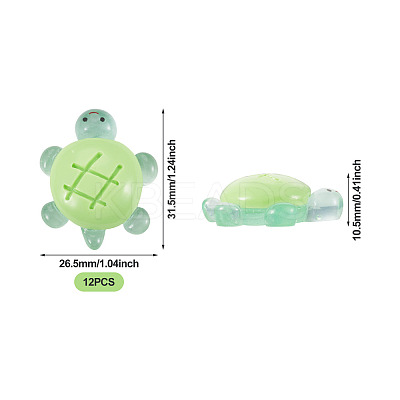 12Pcs Luminous Resin Cabochons RESI-TA0004-55A-1