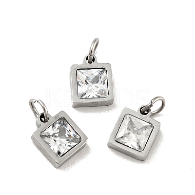 304 Stainless Steel Pendants STAS-D189-01P-B16-1