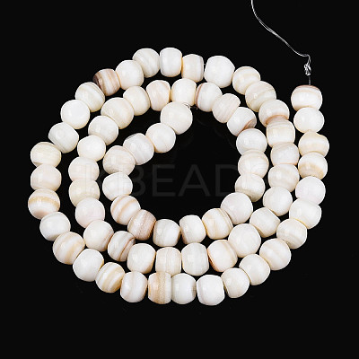 Natural Freshwater Shell Beads Strands SHEL-N038-04-1