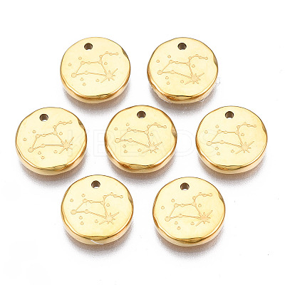 316 Surgical Stainless Steel Charms STAS-S116-418H-G-1