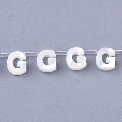Natural Sea Shell Beads SHEL-T012-60G-1