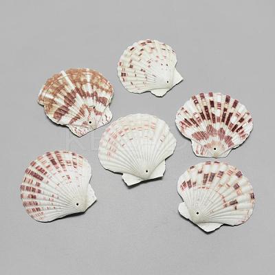 Sea Shell Big Pendants SSHEL-Q299-003-1