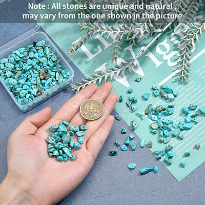 Synthetic Turquoise Chip Beads G-SC0001-29-1