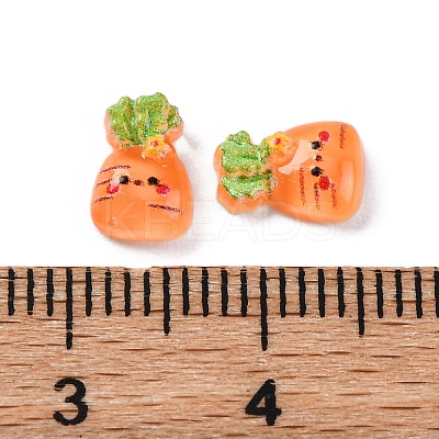 Cartoon Transparent Resin Cabochons CRES-R459-01C-1