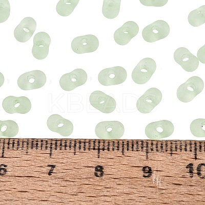 FGB Frosted Transparent Glass Seed Beads SEED-N013-06A-08-1