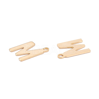 201 Stainless Steel Charms LS-STAS-C021-06G-M-1