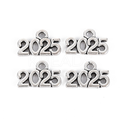 Tibetan Style Alloy Charms TIBE-S323-110AS-RS-1