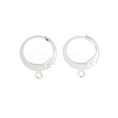 316L Surgical Stainless Steel Leverback Earring Findings STAS-F075-38S-1