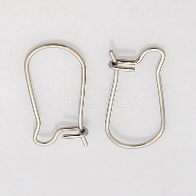 Tarnish Resistant 316 Surgical Stainless Steel Hoop Earrings STAS-N019-08-1