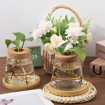 Glass Planter Vase with Wooden Lid and Bamboo Stand AJEW-WH0554-97-1