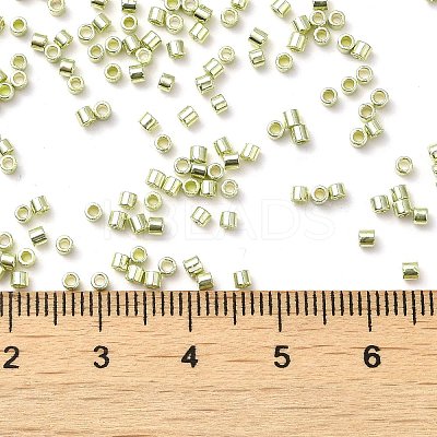 Electroplate Glass Seed Beads SEED-S042-01B-09-1