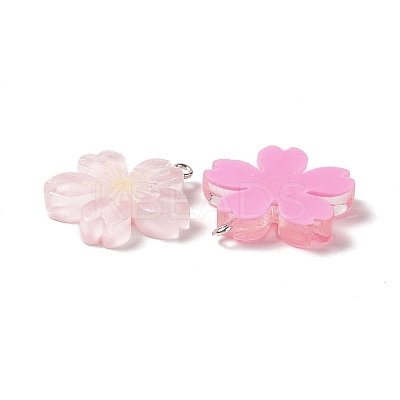 Transparent Resin Pendants RESI-G046-07P-1